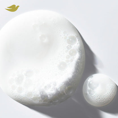 Daily Moisture Repair Shampoo