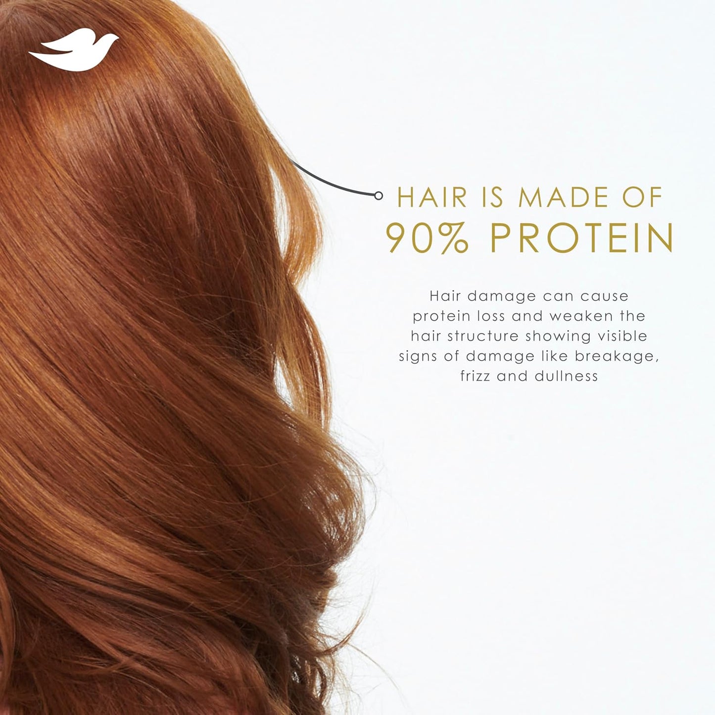 Daily Moisture Repair Shampoo